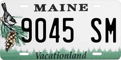 ME license plate 9045SM