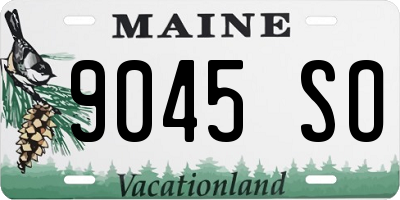 ME license plate 9045SO