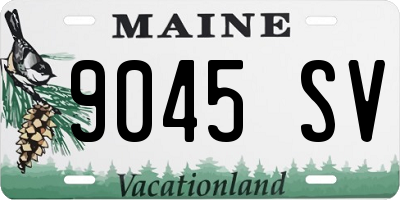 ME license plate 9045SV