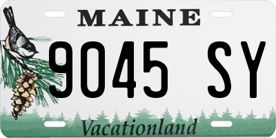 ME license plate 9045SY