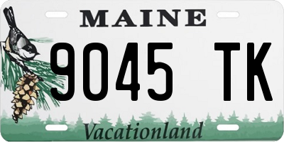 ME license plate 9045TK
