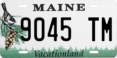 ME license plate 9045TM