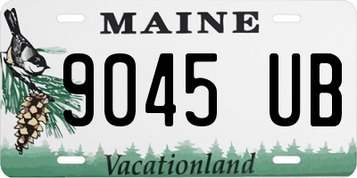 ME license plate 9045UB
