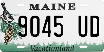 ME license plate 9045UD