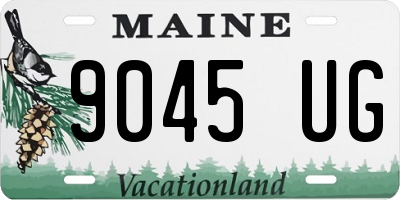 ME license plate 9045UG