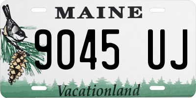 ME license plate 9045UJ