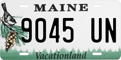 ME license plate 9045UN