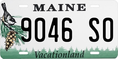 ME license plate 9046SO