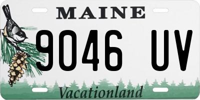 ME license plate 9046UV