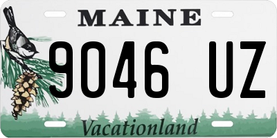 ME license plate 9046UZ