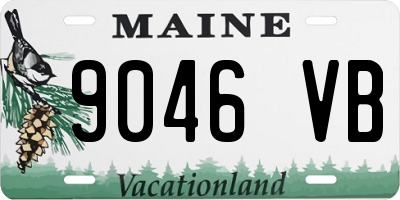 ME license plate 9046VB
