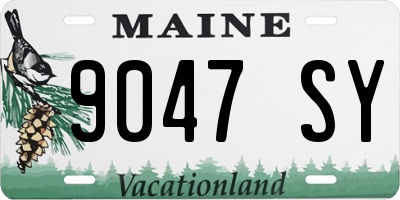 ME license plate 9047SY