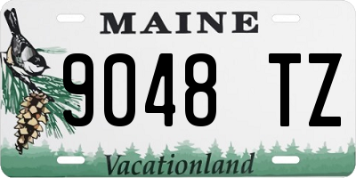ME license plate 9048TZ