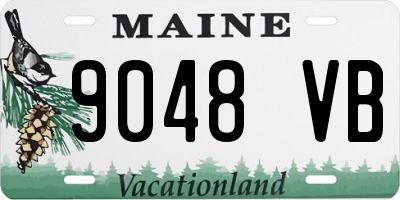 ME license plate 9048VB