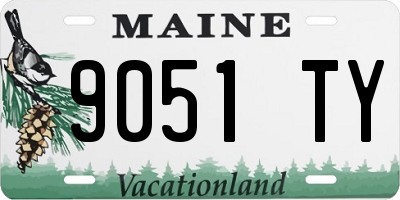 ME license plate 9051TY