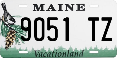 ME license plate 9051TZ