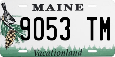 ME license plate 9053TM