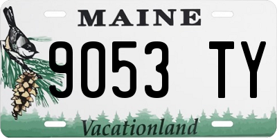 ME license plate 9053TY