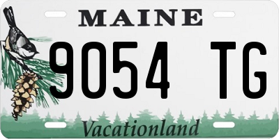 ME license plate 9054TG