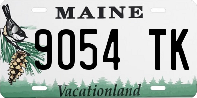 ME license plate 9054TK