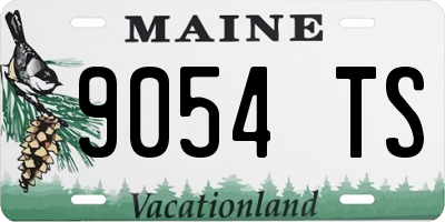 ME license plate 9054TS