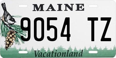 ME license plate 9054TZ