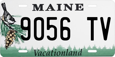 ME license plate 9056TV
