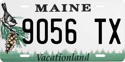 ME license plate 9056TX