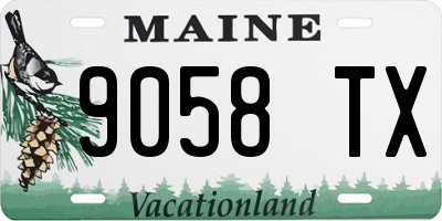 ME license plate 9058TX
