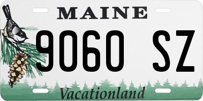 ME license plate 9060SZ