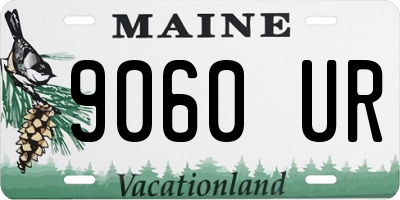 ME license plate 9060UR