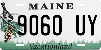 ME license plate 9060UY