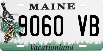 ME license plate 9060VB