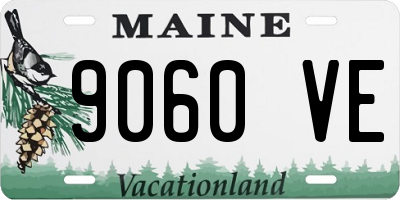 ME license plate 9060VE