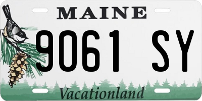 ME license plate 9061SY