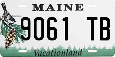 ME license plate 9061TB