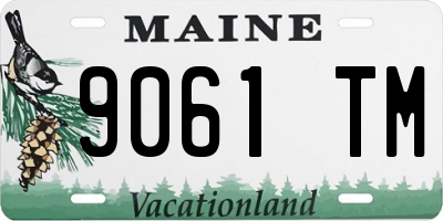 ME license plate 9061TM