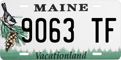 ME license plate 9063TF