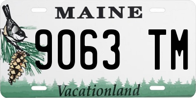 ME license plate 9063TM