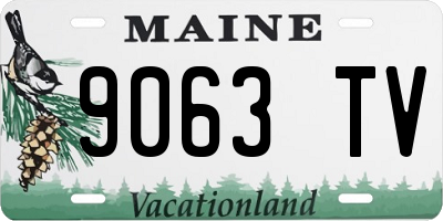 ME license plate 9063TV