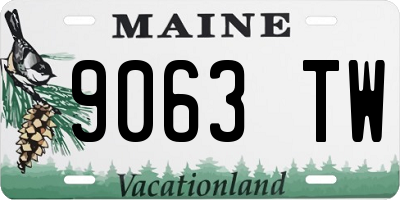 ME license plate 9063TW