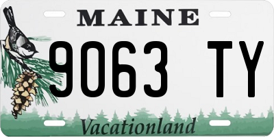 ME license plate 9063TY