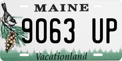 ME license plate 9063UP