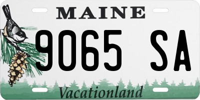 ME license plate 9065SA