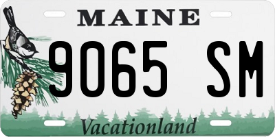 ME license plate 9065SM