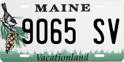 ME license plate 9065SV