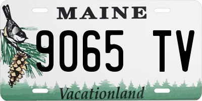 ME license plate 9065TV