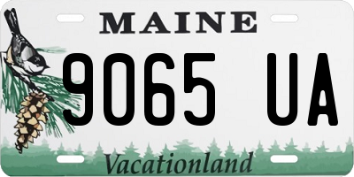 ME license plate 9065UA