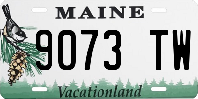 ME license plate 9073TW