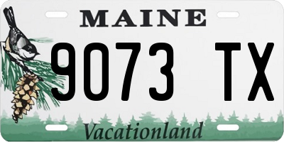 ME license plate 9073TX